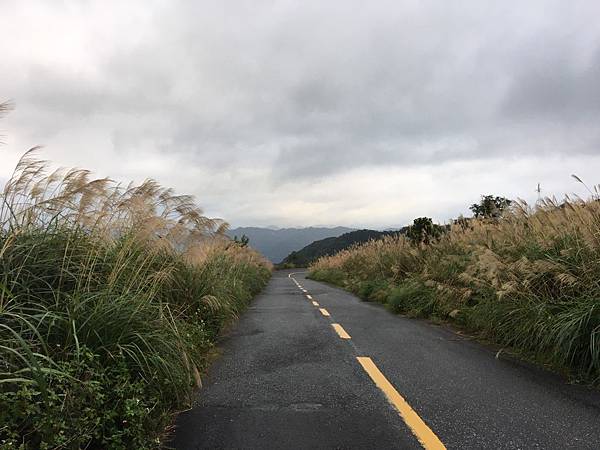 瑞芳平溪景點推薦五分山芒花季台灣萬里長城_191216_0930.jpg