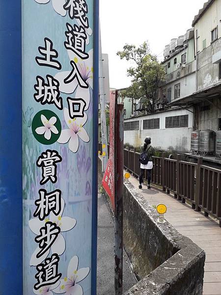 油桐花季2020土城油桐花公園之賞油桐花景點不藏私公開分享_200419_0649.jpg