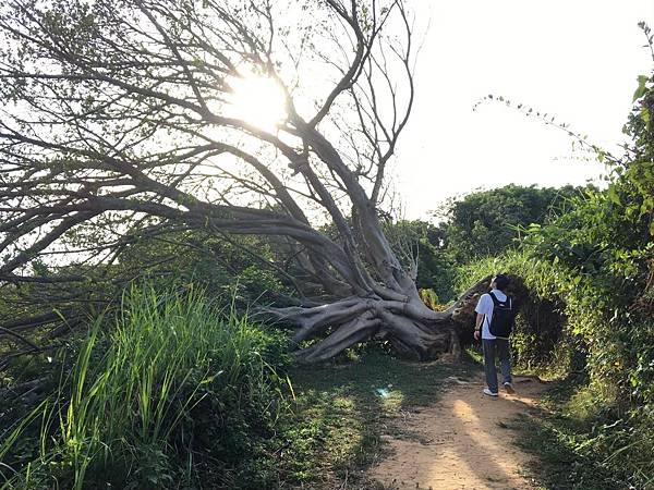 新竹兩天一夜行程推薦 親水公園 鳳岐落日登山步道 小吃美食 迎曦大飯店sol hotel 一百種味_31.jpg