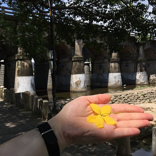 新竹兩天一夜行程推薦 親水公園 鳳岐落日登山步道 小吃美食 迎曦大飯店sol hotel 一百種味_64.jpg