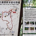 2021陽明山 坪頂古圳 親山步道 至善路登山口 君悅排骨飯 (35).jpg