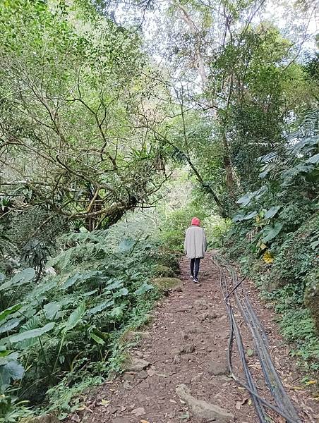 LINE_ALBUM_20231217新竹尖石鄉馬胎古道登山與霧津山林高山露營兩天一夜同學會行程_231224_7.jpg