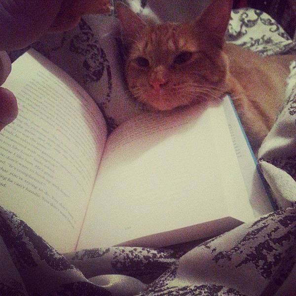 nothing like curling up with a good book and a kitty