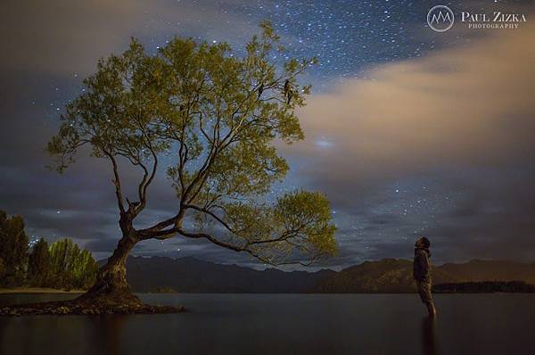 -Alone with an Icon- - Photography by +Paul Zizka www.zizka.ca Wanaka tree, New Zealand. #wanaka #tree #night