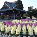 成田山新勝寺前庭.JPG