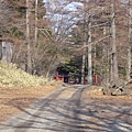 神社入口的道路