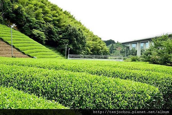 DSC_0983.JPG DSC_0983.JPG