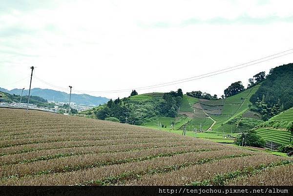 DSC_0984.JPG DSC_0984.JPG