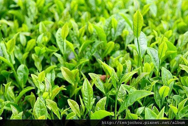 DSC_0985.JPG DSC_0985.JPG