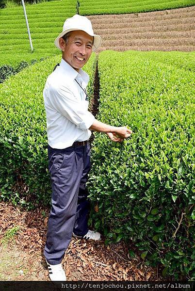 DSC_0987.JPG DSC_0987.JPG