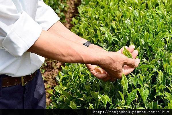 DSC_0988.JPG DSC_0988.JPG