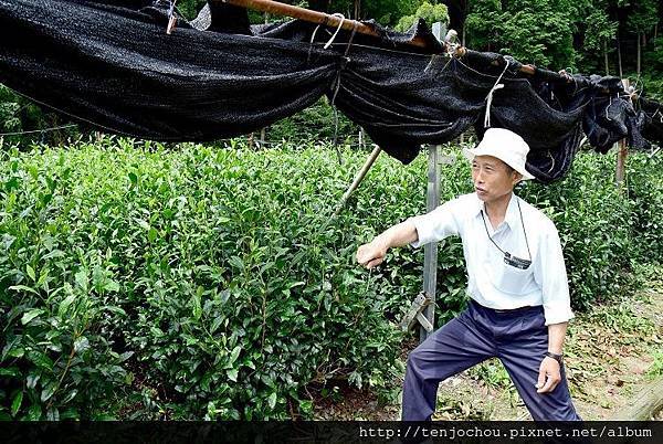 DSC_0989.JPG DSC_0989.JPG