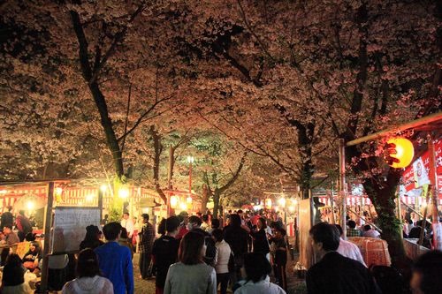 SJShih_201304_Kyoto_0331