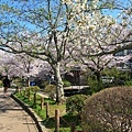 SJShih_201304_Kyoto_0144.JPG