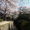 SJShih_201304_Kyoto_0157.JPG