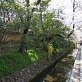 SJShih_201304_Kyoto_0166.JPG