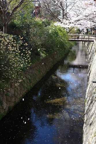 SJShih_201304_Kyoto_0176.JPG