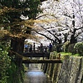 SJShih_201304_Kyoto_0183.JPG