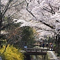 SJShih_201304_Kyoto_0187.JPG