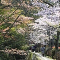 SJShih_201304_Kyoto_0189.JPG