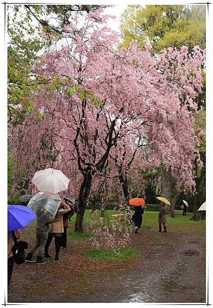 SJShih_201304_Kyoto_0429_副本.jpg