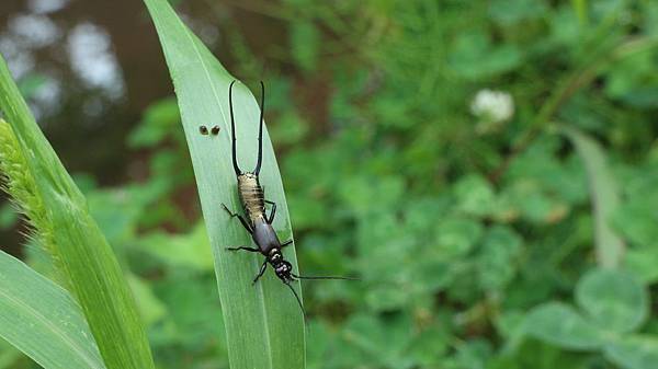 09 IMG_9905.JPG 09 IMG_9905.JPG