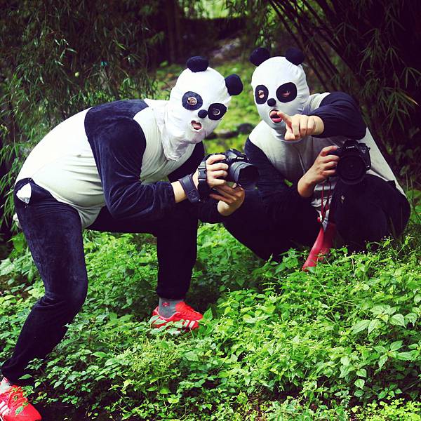 IMG_2755.JPG IMG_2755.JPG