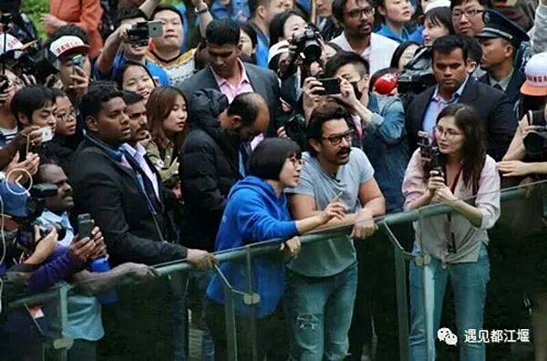 IMG_8864.JPG IMG_8864.JPG