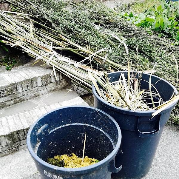 IMG_8869.JPG IMG_8869.JPG