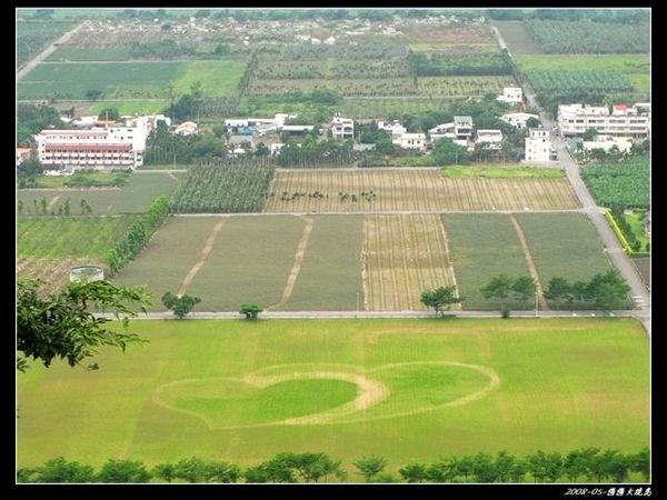 鹿野高台.jpg