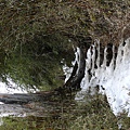 雪山美景 (228).JPG