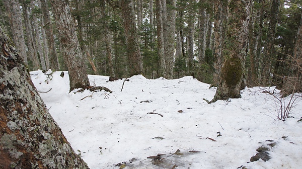 雪山美景 (111).JPG