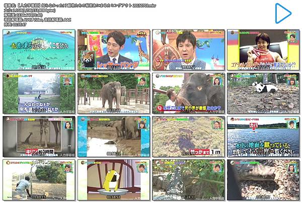 【人力字幕组】知らなかった!?動物たちの秘密あにまるカミングアウト 20150703.mkv.jpg 【人力字幕组】知らなかった!?動物たちの秘密あにまるカミングアウト 20150703.mkv.jpg