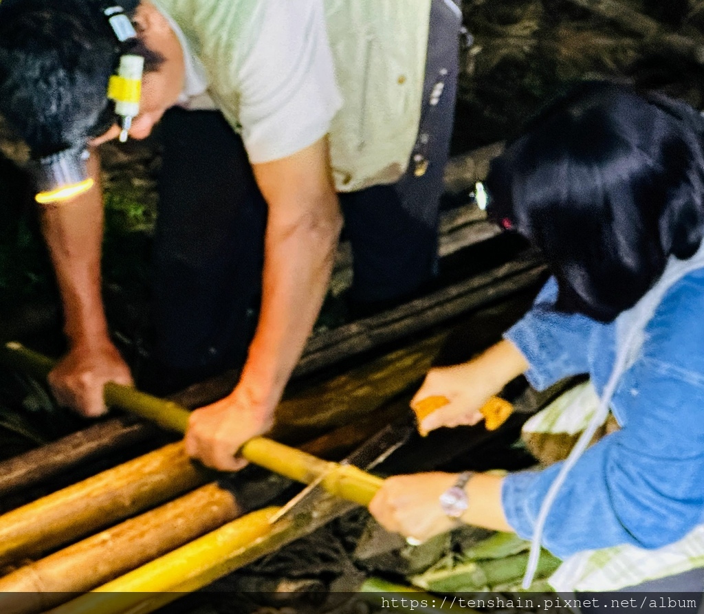 蟬說：霧繞 │ 懶人露營新玩法--在雲霧繚繞的白蘭部落，沈浸