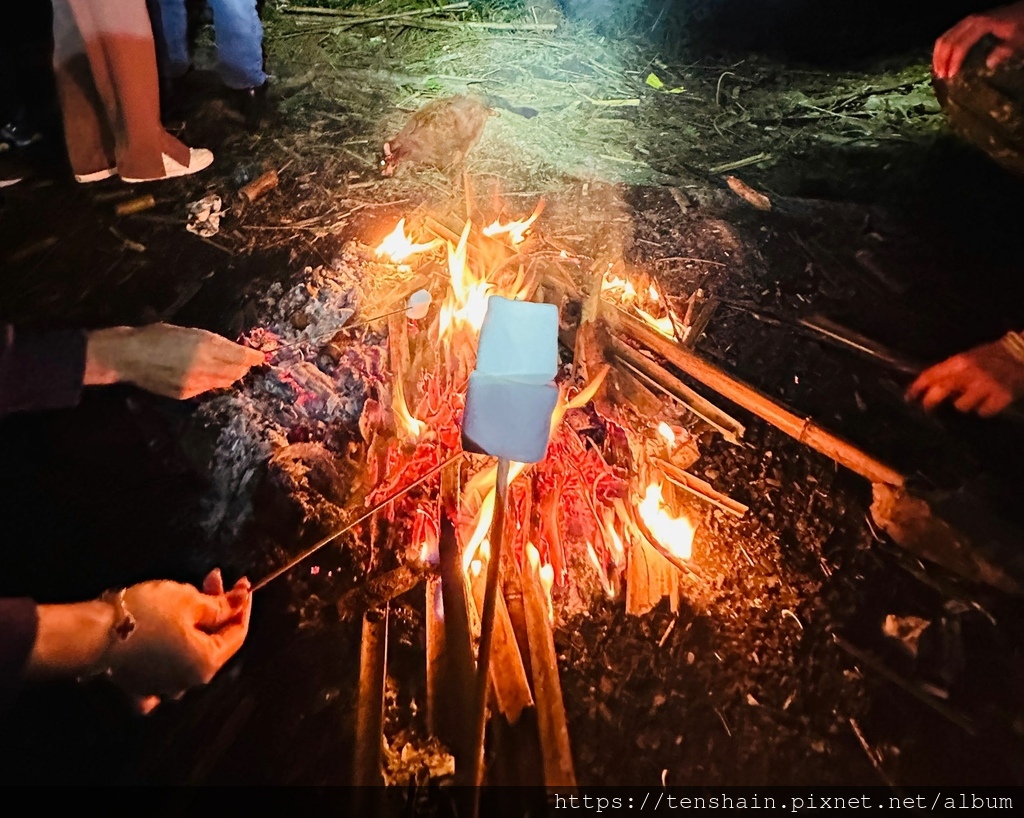 蟬說：霧繞 │ 懶人露營新玩法--在雲霧繚繞的白蘭部落，沈浸