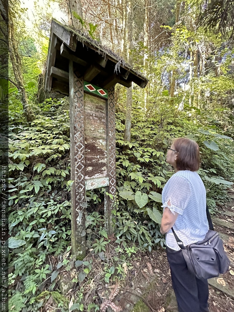 蟬說：霧繞 │ 懶人露營新玩法--在雲霧繚繞的白蘭部落，沈浸