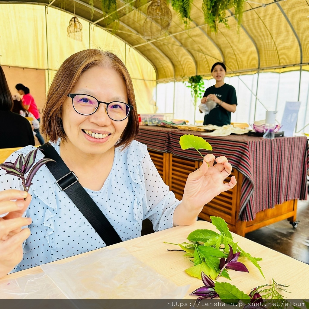 蟬說：霧語 │ 住進雲的故鄉，看霧靄流連，聽山林低語，晨觀日