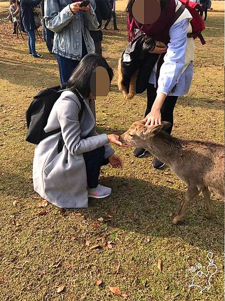 奈良_飛火野_14.jpg