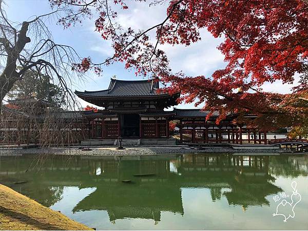 日本_宇治_平等院_05.jpg