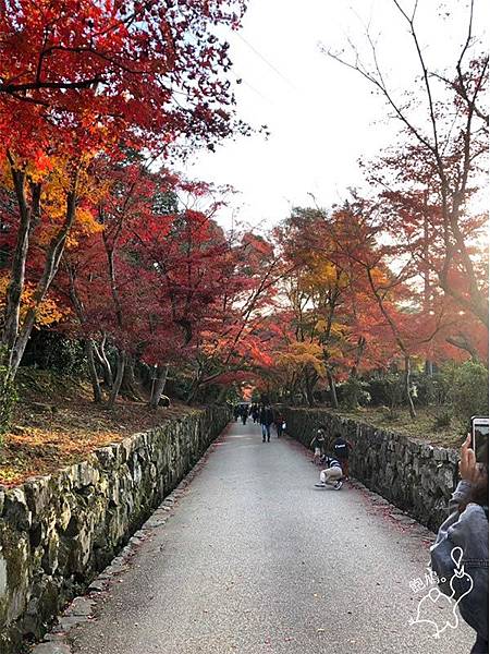 日本_宇治_興聖寺_02.jpg