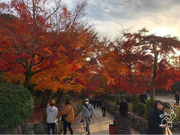 日本_宇治_興聖寺_03.jpg