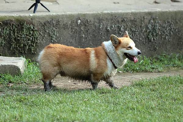 14199532_1066946546759969_3133352967605100829_n.jpg 14199532_1066946546759969_3133352967605100829_n.jpg