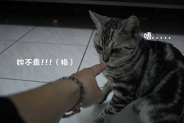 2011-10-04俏妞_06-1.jpg 2011-10-04俏妞_06-1.jpg