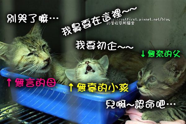 e88298b590d3ba50926be8f3ef117d73_n.jpg e88298b590d3ba50926be8f3ef117d73_n.jpg
