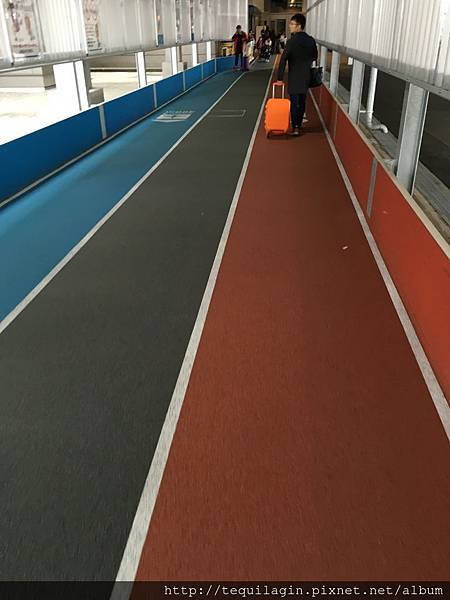 IMG_7431.jpg IMG_7431.jpg