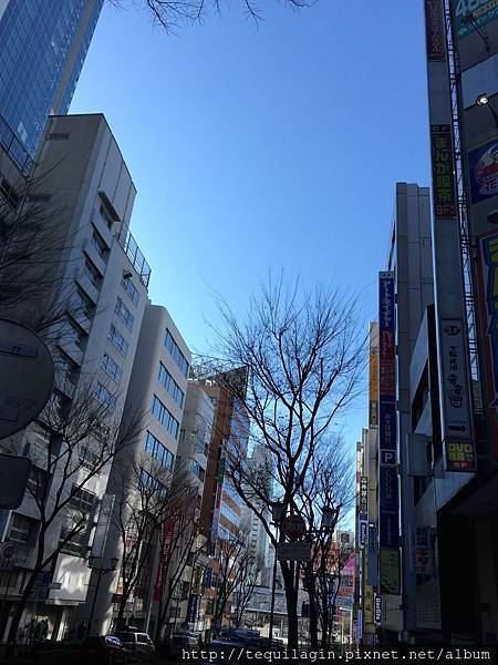 IMG_7611.jpg IMG_7611.jpg