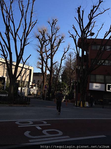 IMG_7717.jpg IMG_7717.jpg
