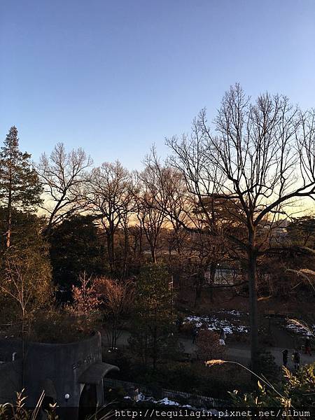 IMG_7745.jpg IMG_7745.jpg