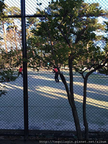 IMG_7737.jpg IMG_7737.jpg