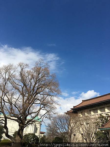 IMG_7929.jpg IMG_7929.jpg